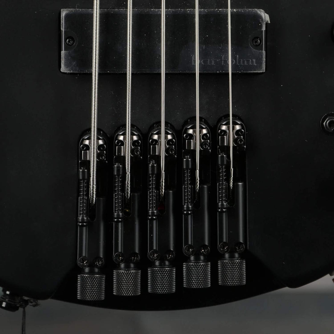Đàn Guitar Bass 5-dây Ibanez Workshop EHB1005 w/Bag, Black Flat-Mai Nguyên Music