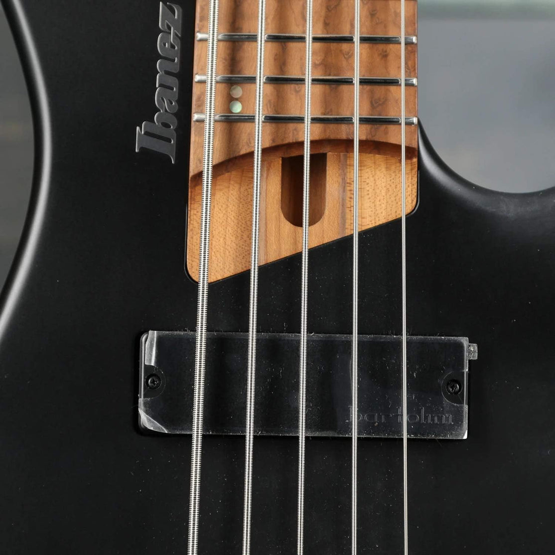 Đàn Guitar Bass 5-dây Ibanez Workshop EHB1005 w/Bag, Black Flat-Mai Nguyên Music
