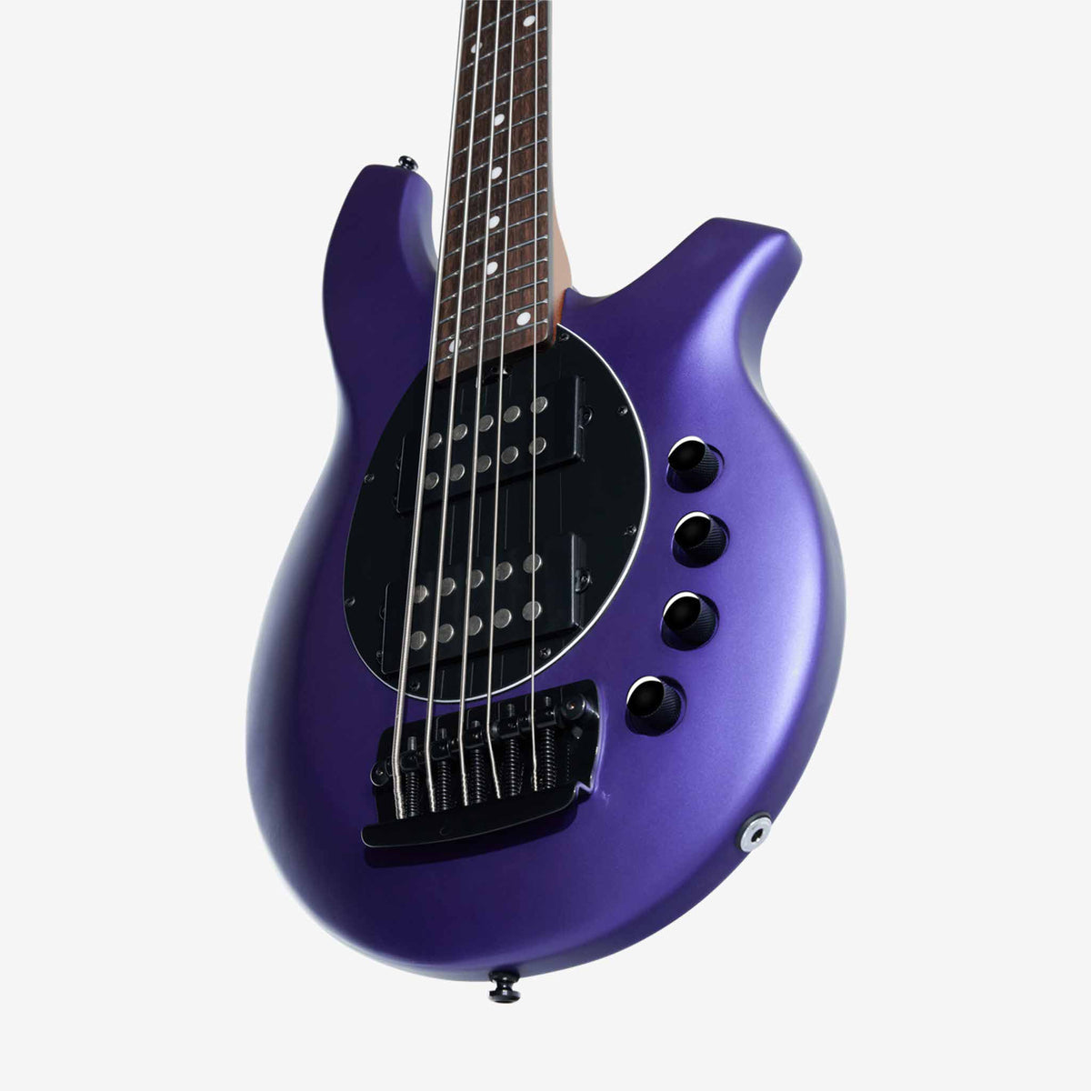 Đàn Guitar Bass 5-dây Sterling Bongo 5, Rosewood Fingerboard-Mai Nguyên Music