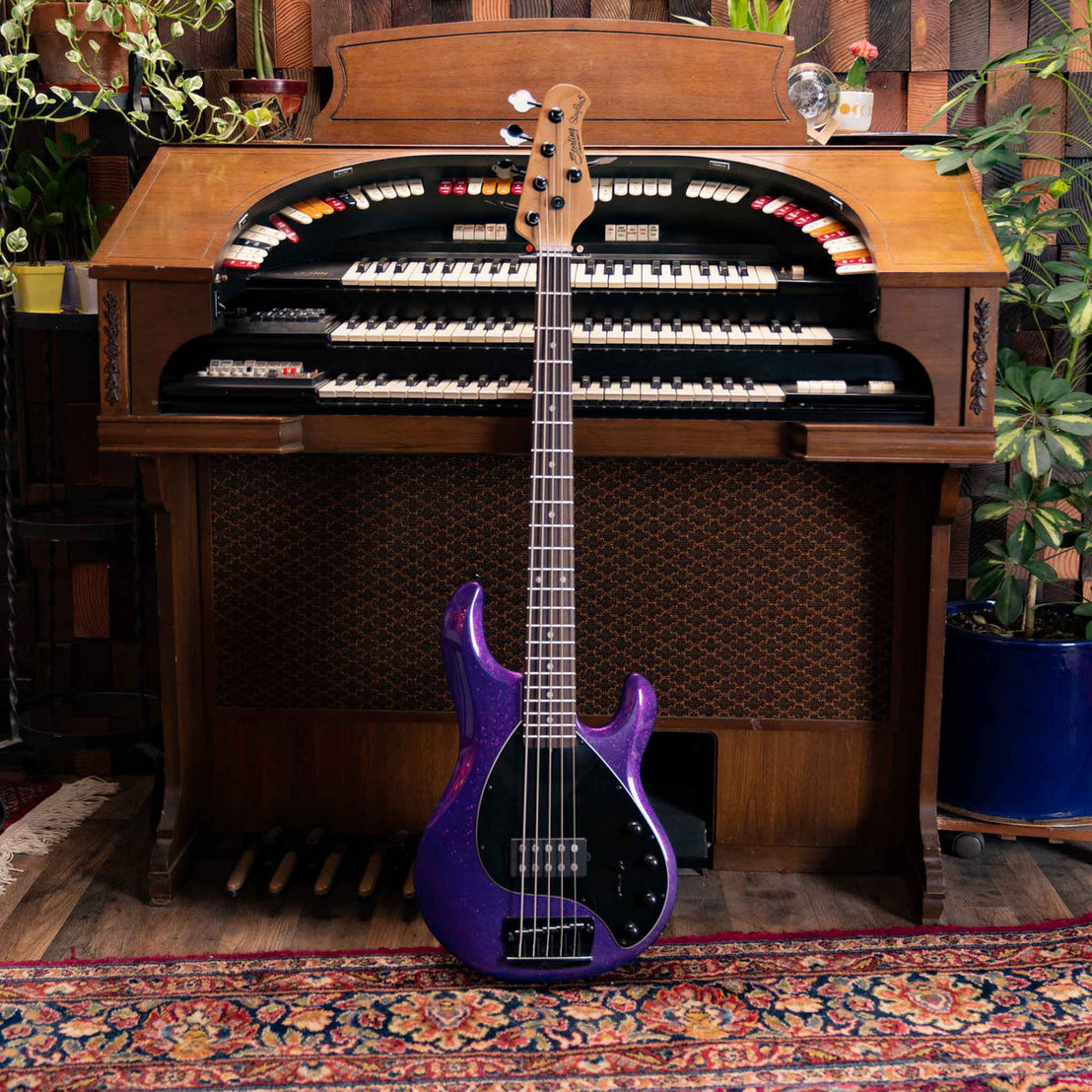 Đàn Guitar Bass 5-dây Sterling StingRay RAY35-Mai Nguyên Music