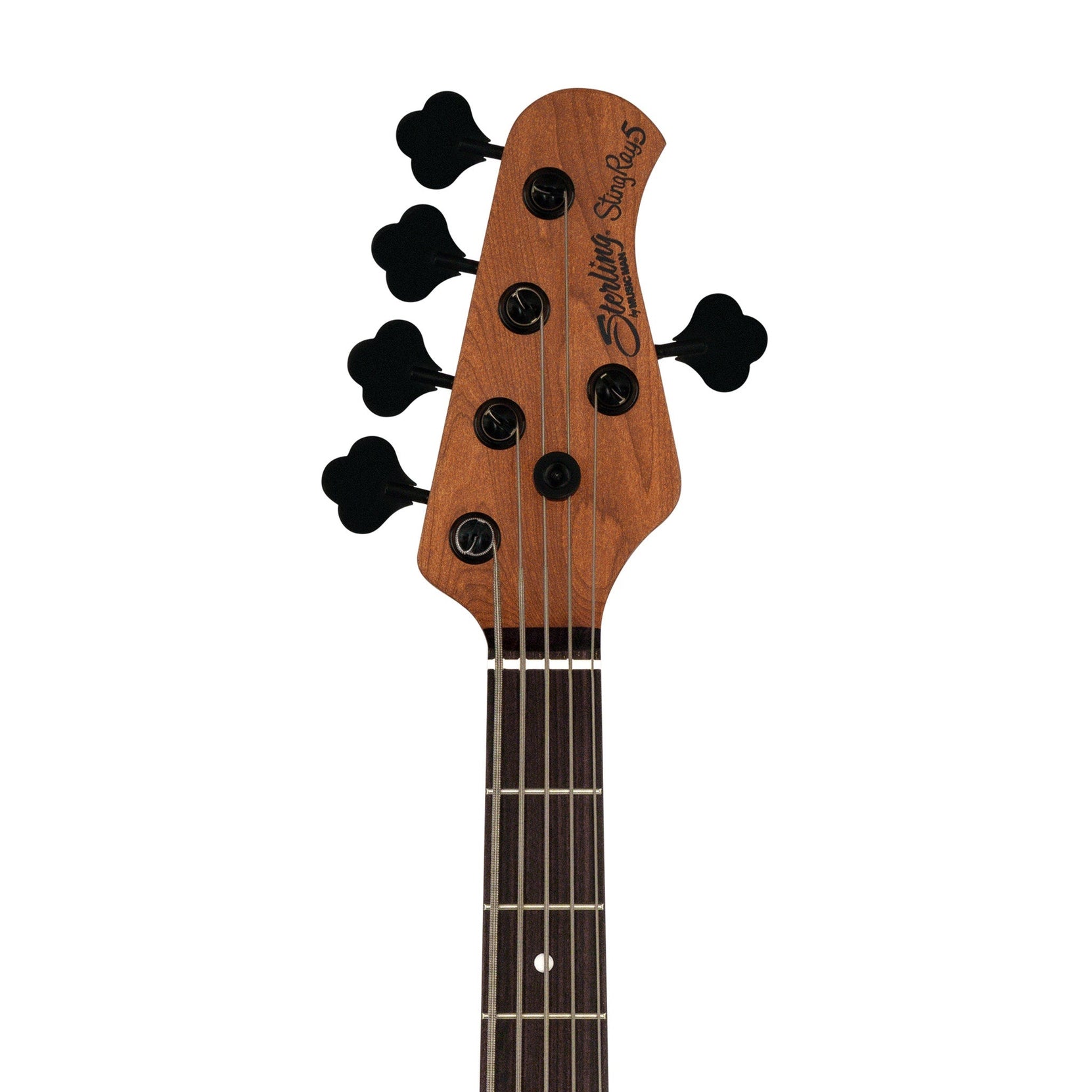 Đàn Guitar Bass 5-dây Sterling StingRay RAY35HH, Rosewood Fingerboard-Mai Nguyên Music