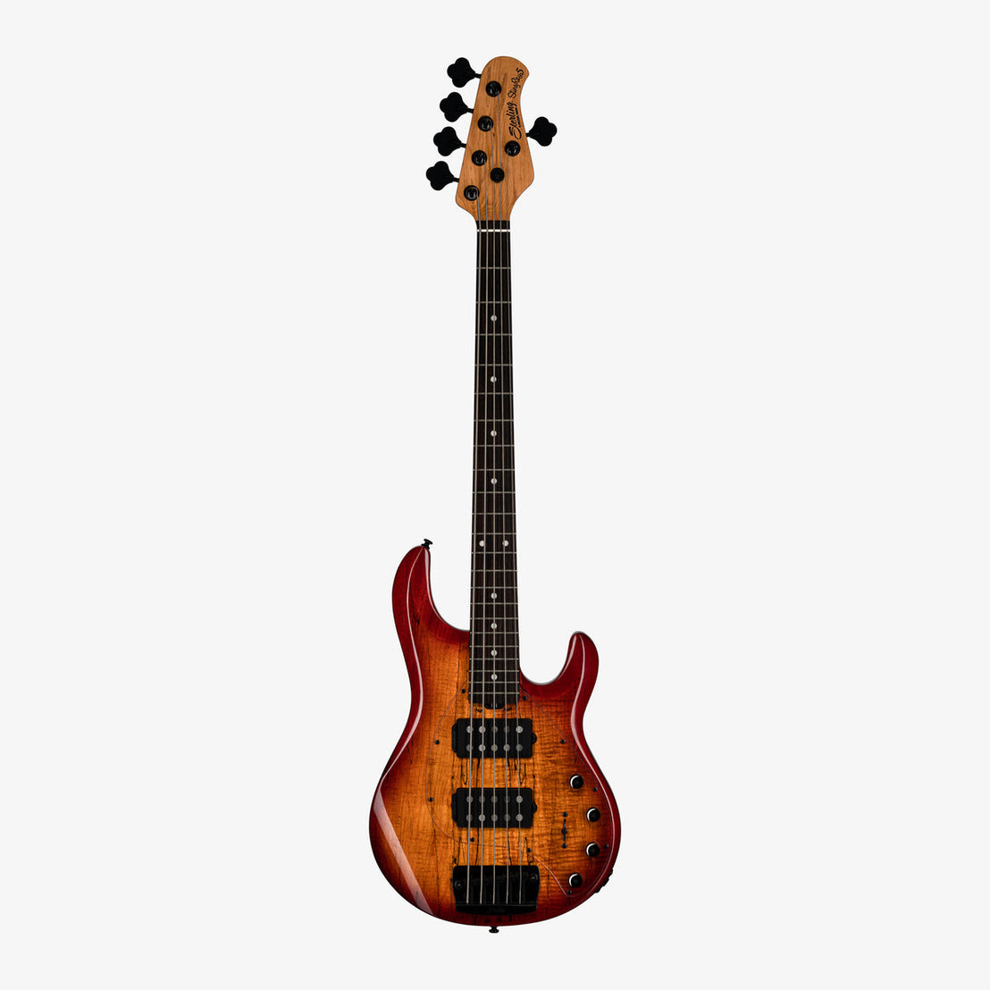 Đàn Guitar Bass 5-dây Sterling StingRay RAY35HH, Spalted Maple Top-Mai Nguyên Music