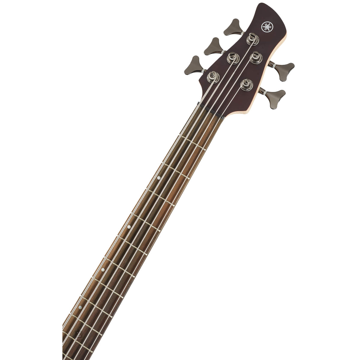 Đàn Guitar Bass 5-dây Yamaha TRBX505, Translucent Brown-Mai Nguyên Music