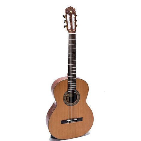 Đàn Guitar Classic Ba Đờn C350 Body-Mai Nguyên Music