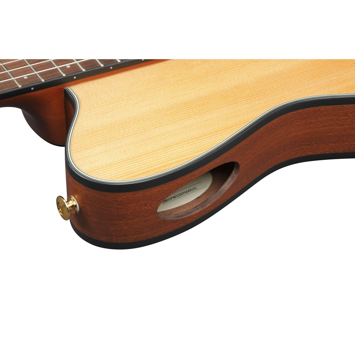 Đàn Guitar Acoustic Ibanez FRH10N Nylon-string-Mai Nguyên Music