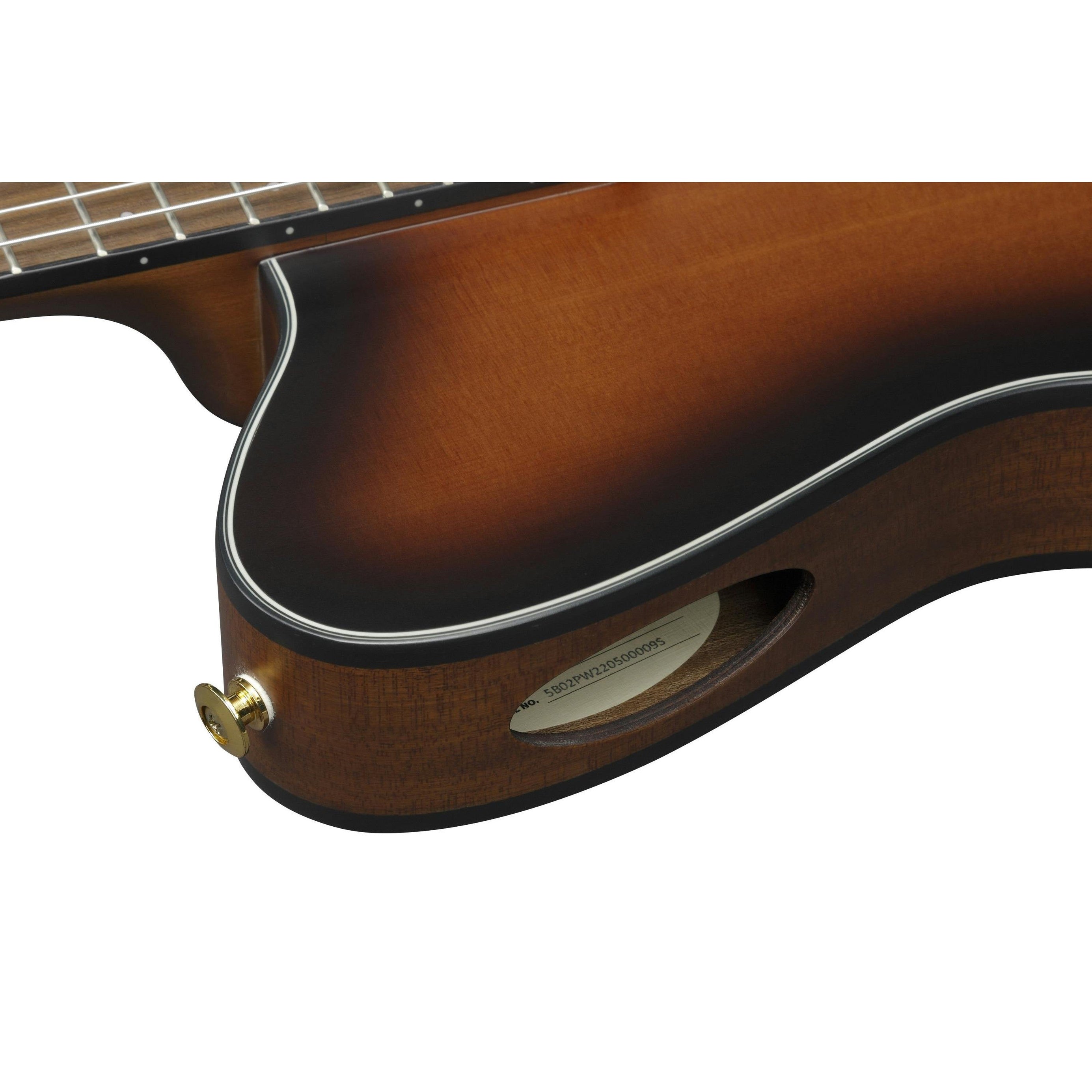 Đàn Guitar Acoustic Ibanez FRH10N Nylon-string-Mai Nguyên Music