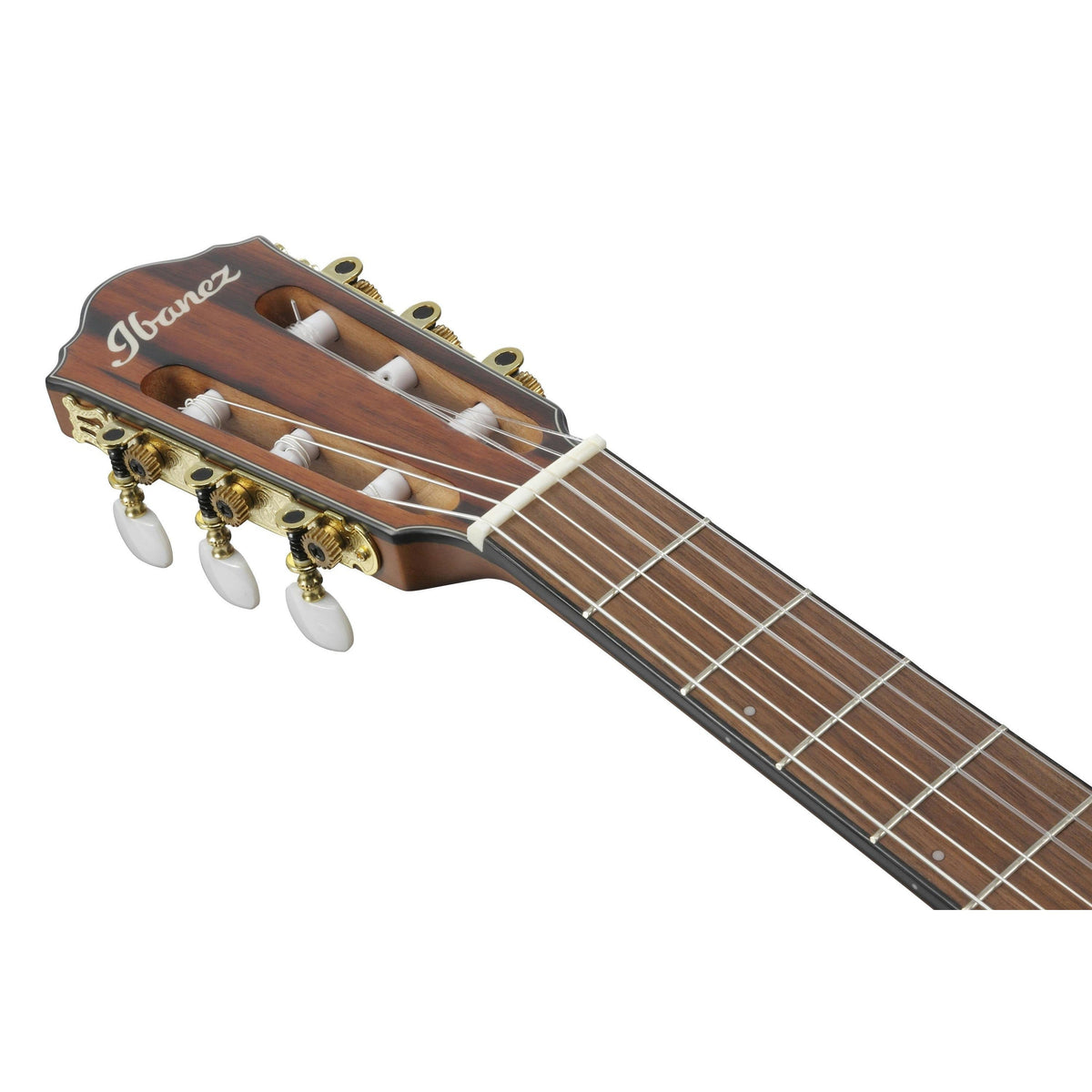 Đàn Guitar Acoustic Ibanez FRH10N Nylon-string-Mai Nguyên Music