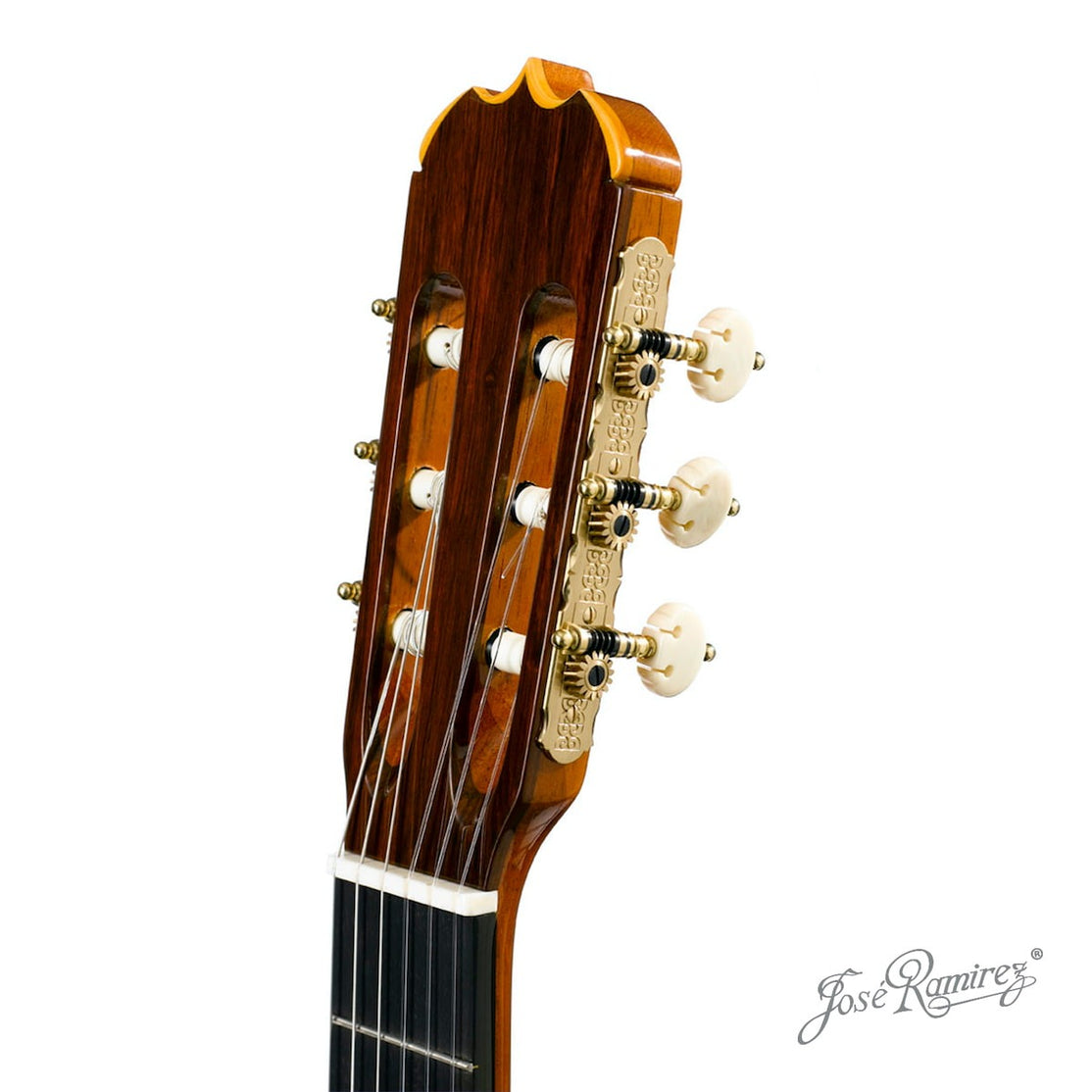 Đàn Guitar Classic Jose Ramirez Aniversario 1A Madagascar Rosewood - Cedar-Mai Nguyên Music