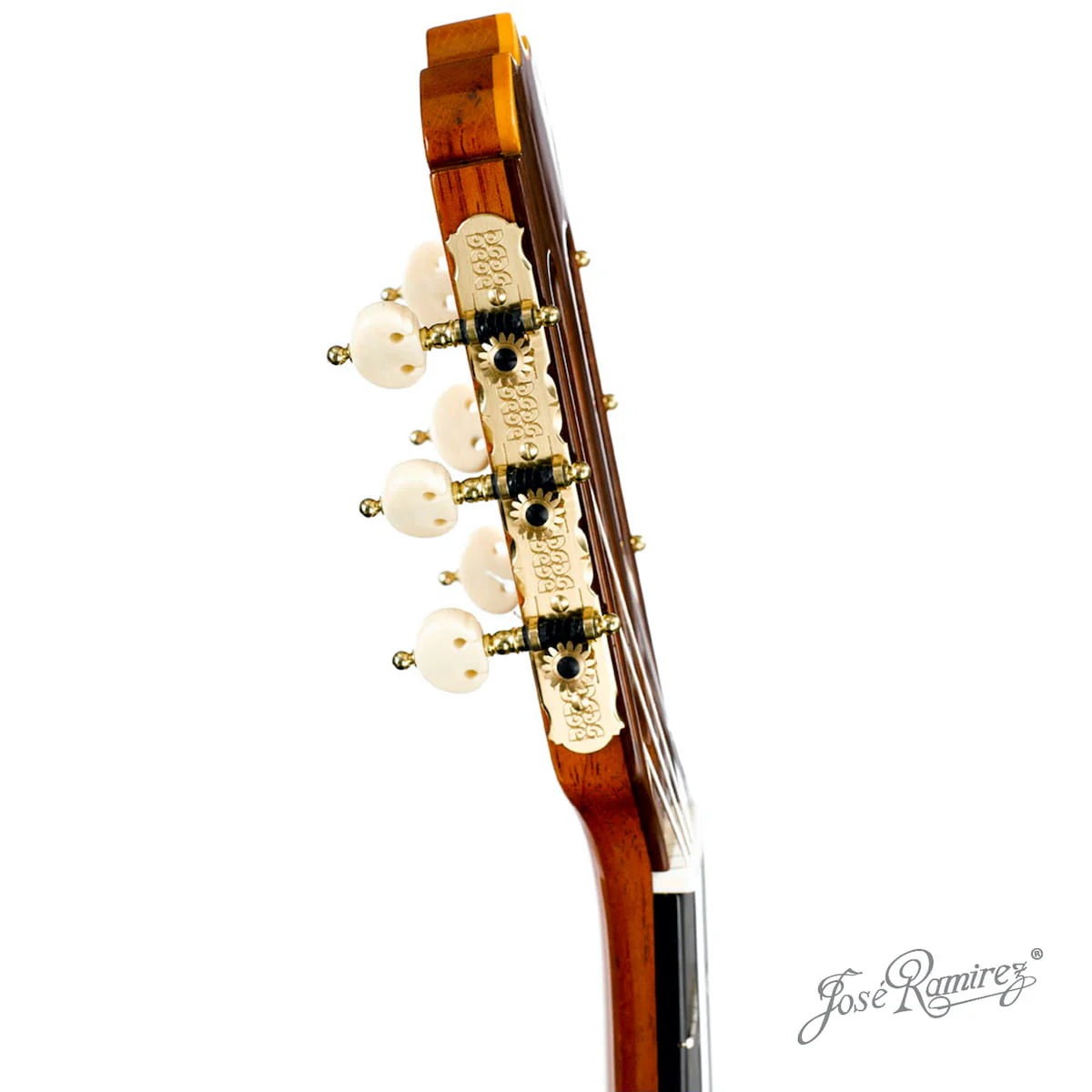 Đàn Guitar Classic Jose Ramirez Aniversario 1A Madagascar Rosewood - Cedar-Mai Nguyên Music