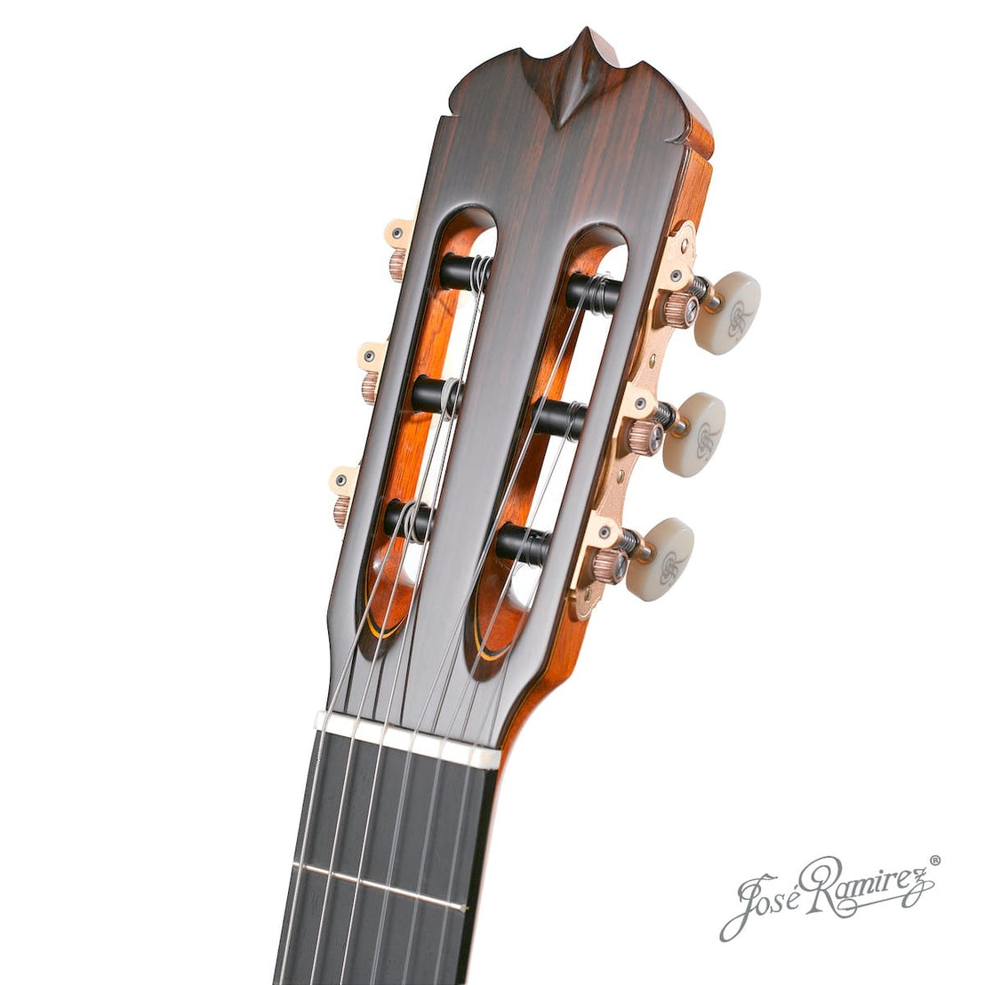 Đàn Guitar Classic Jose Ramirez Auditorio Trio 1A Cocobolo - Cedar-Mai Nguyên Music