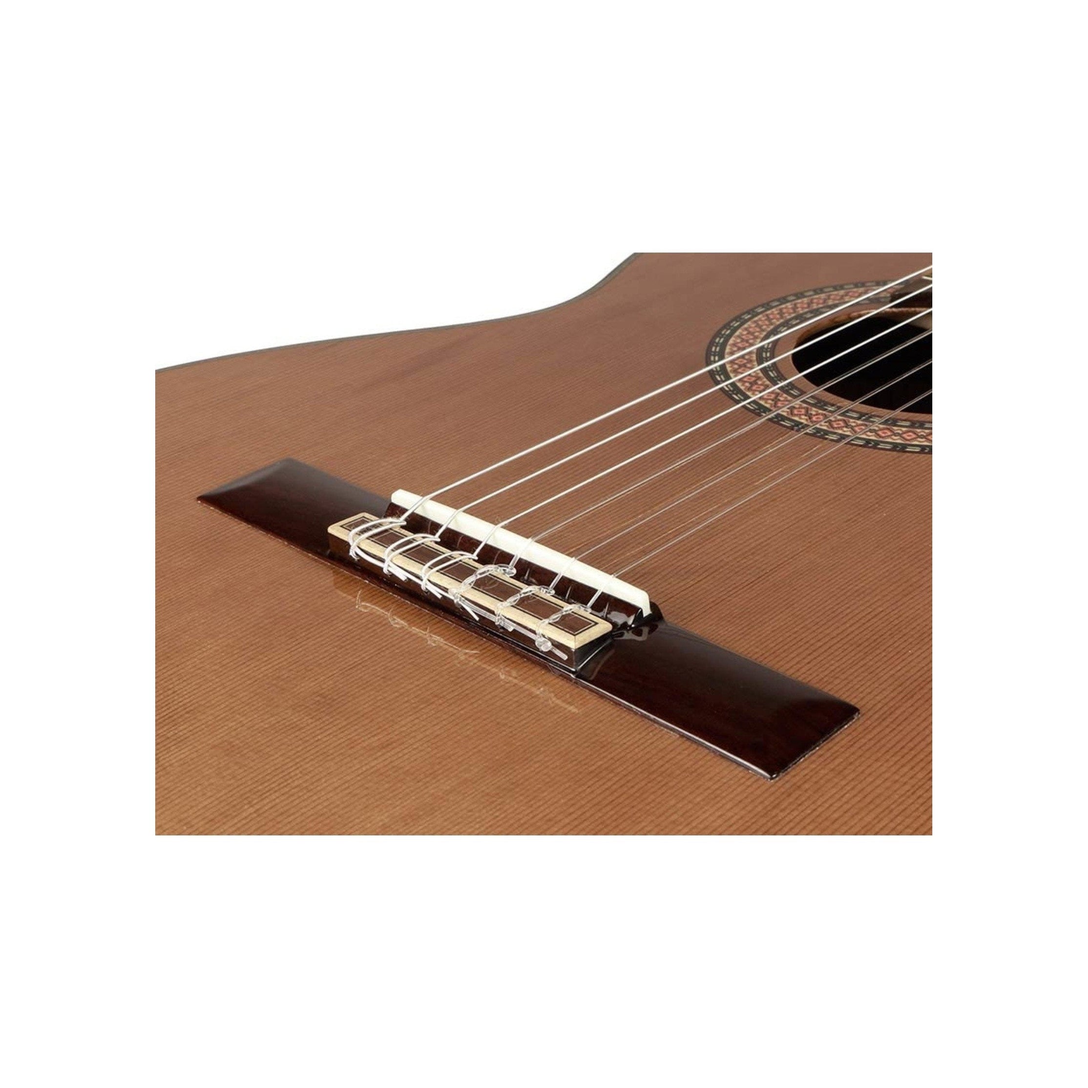 Đàn Guitar Classic Martinez MC88C-Mai Nguyên Music