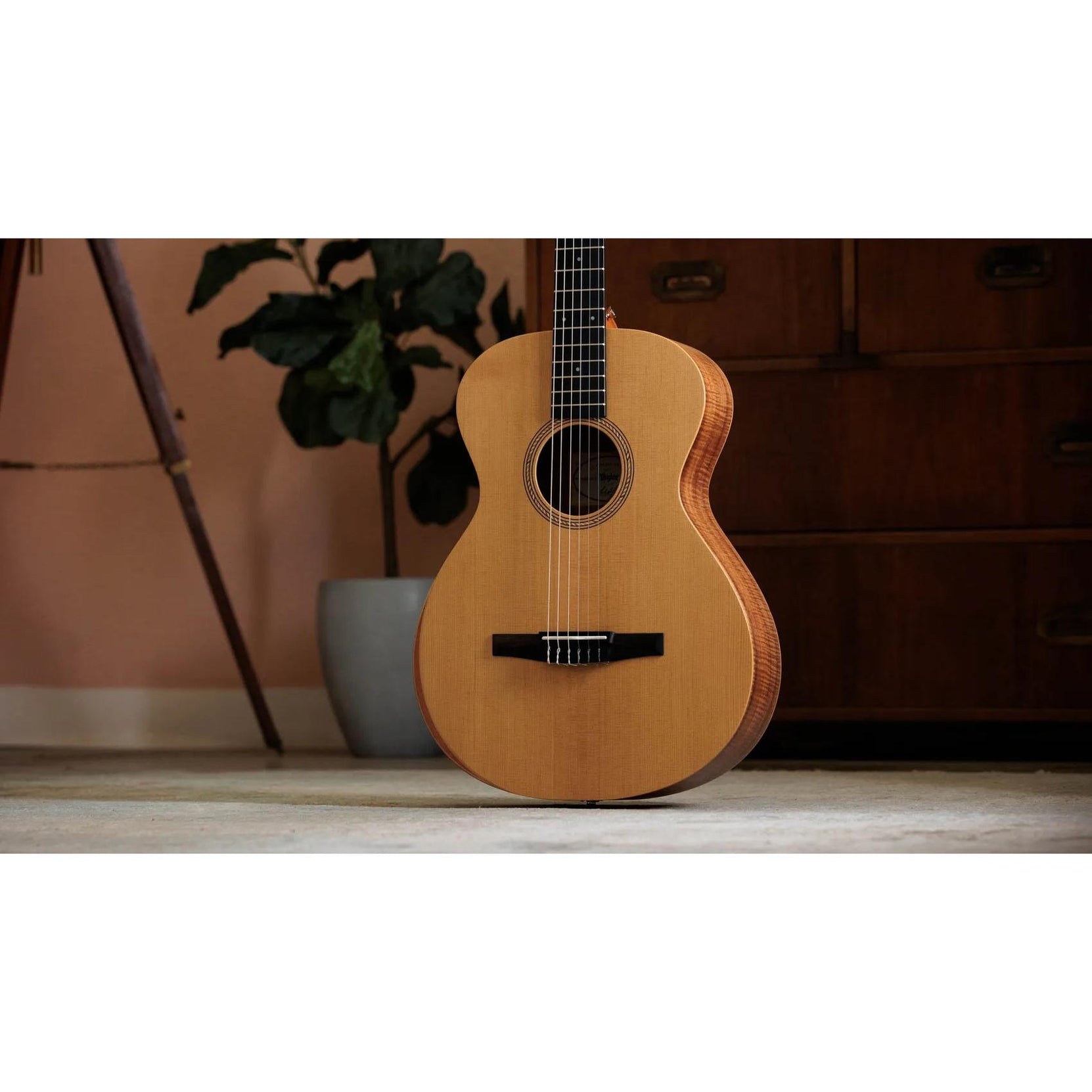Đàn Guitar Classic Taylor Academy 12e-N Limited-Edition - Natural-Mai Nguyên Music