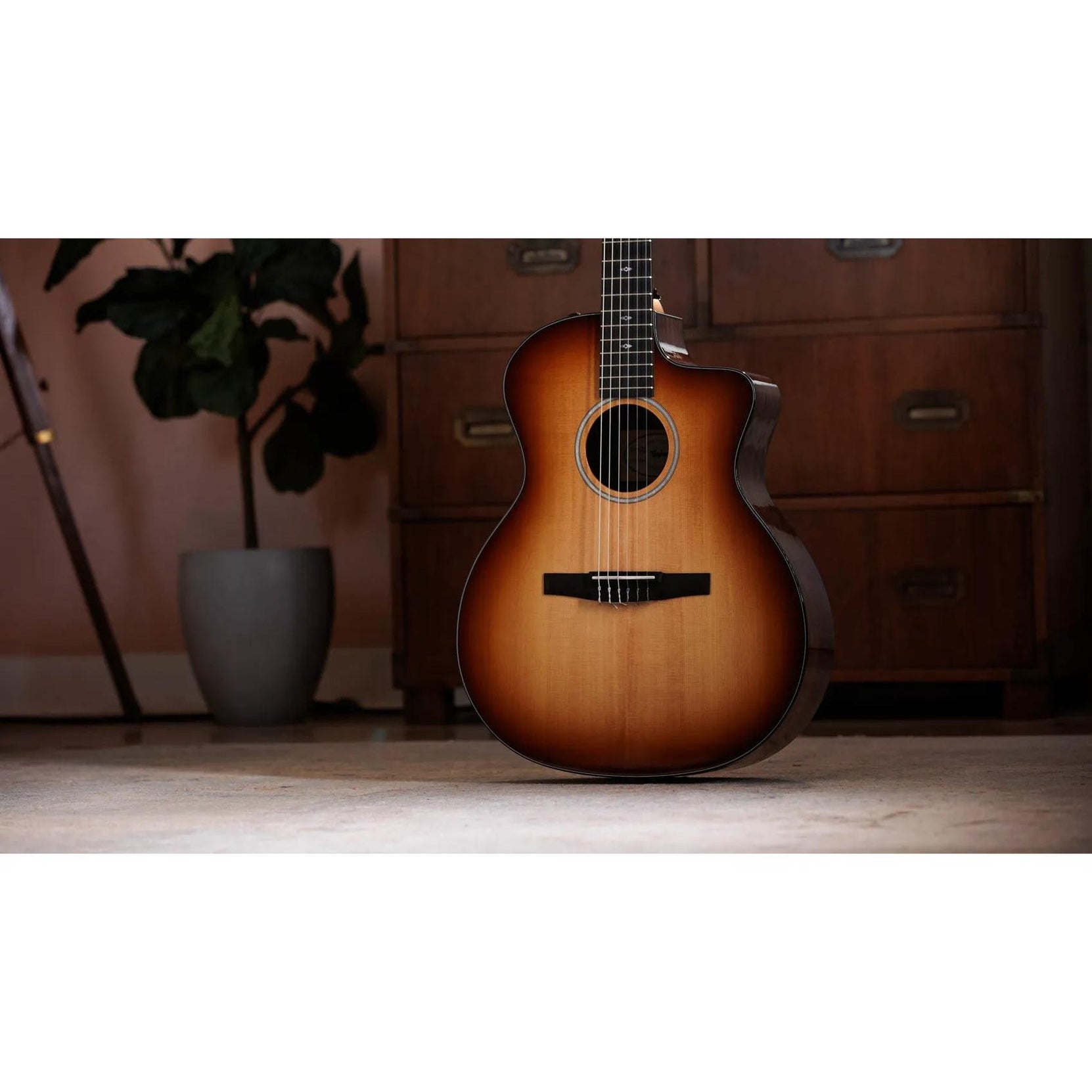Đàn Guitar Classic Taylor Sunset Blvd 214ce-N Plus - Sunset Edgeburst-Mai Nguyên Music