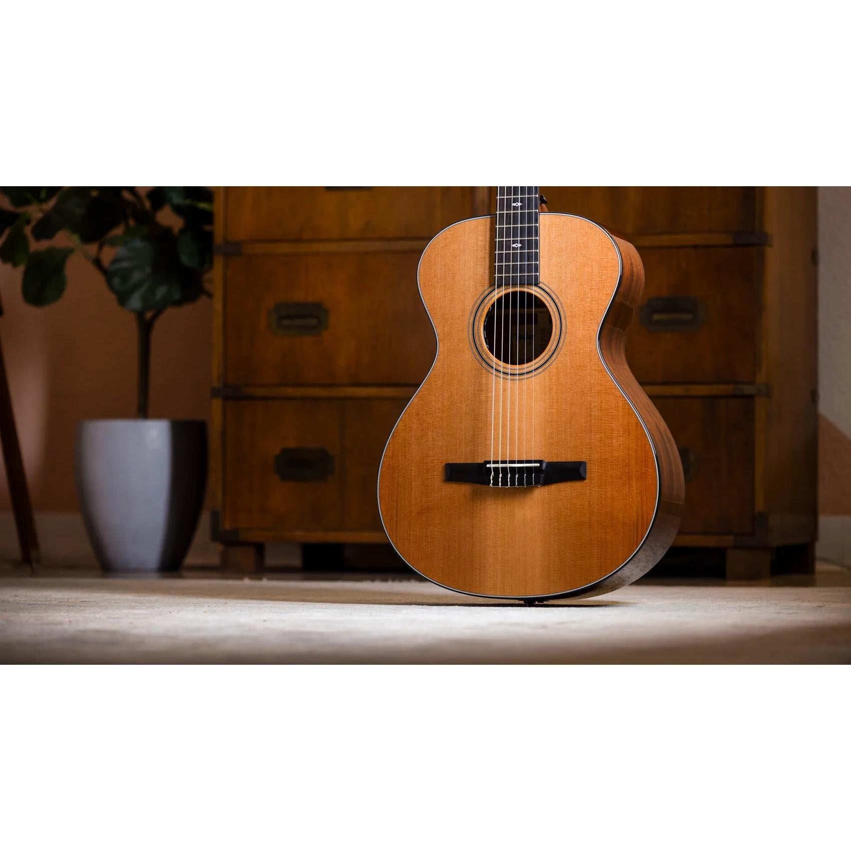 Đàn Guitar Classic Taylor Sunset Blvd 312e-N - Natural-Mai Nguyên Music