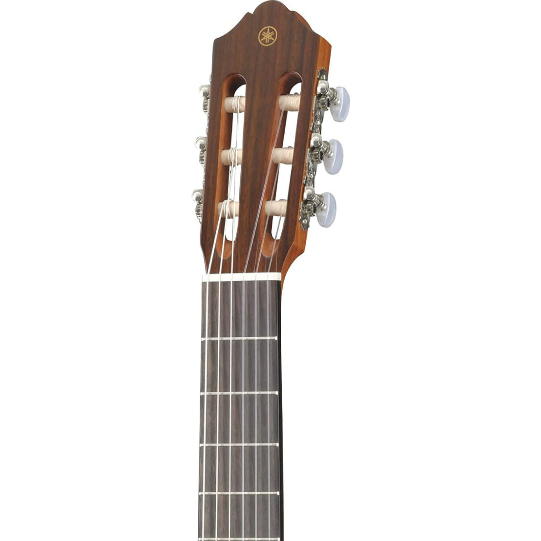 Đàn Guitar Classic Yamaha CG142S-Mai Nguyên Music