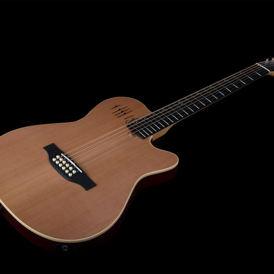 Đàn Guitar Điện 12-dây Silent Godin A12-Mai Nguyên Music