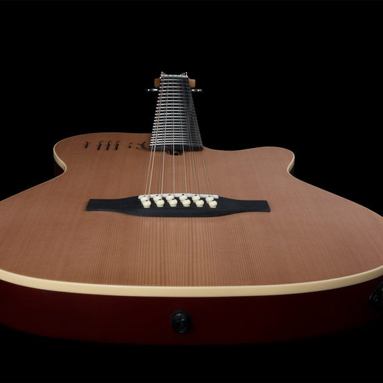 Đàn Guitar Điện 12-dây Silent Godin A12-Mai Nguyên Music