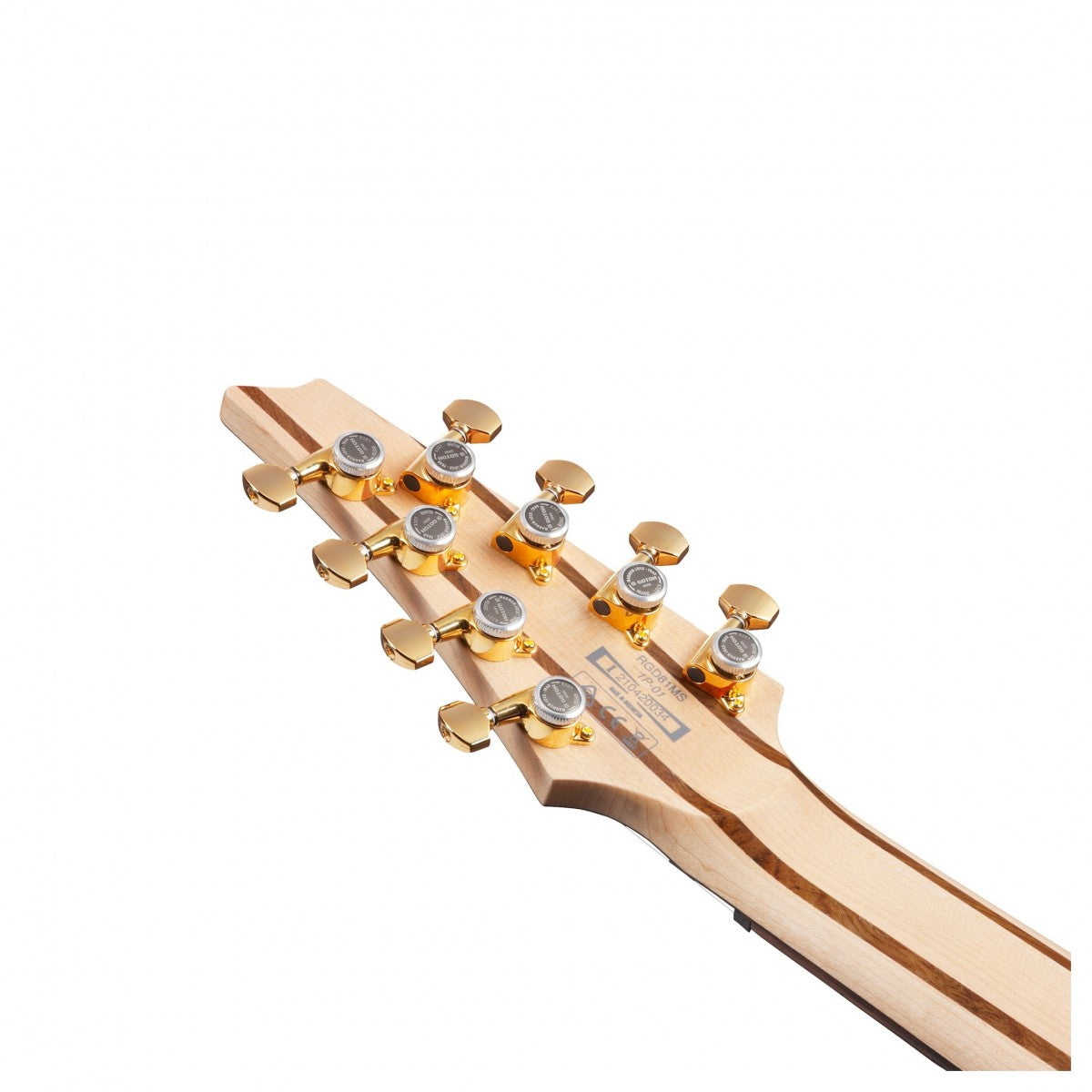 Đàn Guitar Điện 8-dây Ibanez Axion Label RGDMS8, Classic Silver Matte-Mai Nguyên Music