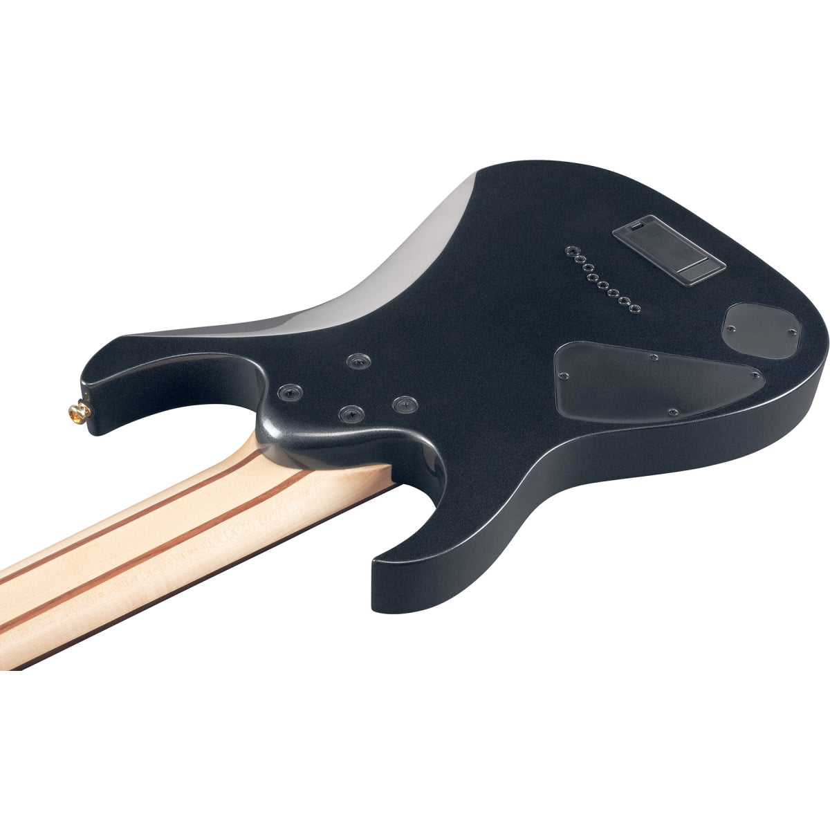 Đàn Guitar Điện 8-dây Ibanez RG Standard RG80F, Iron Pewter-Mai Nguyên Music