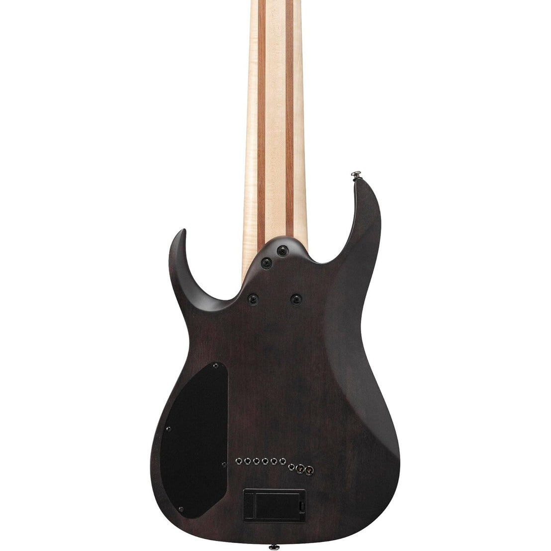 Đàn Guitar Điện 9-dây Ibanez Axe Design Lab RG9PB - Transparent Gray Flat-Mai Nguyên Music