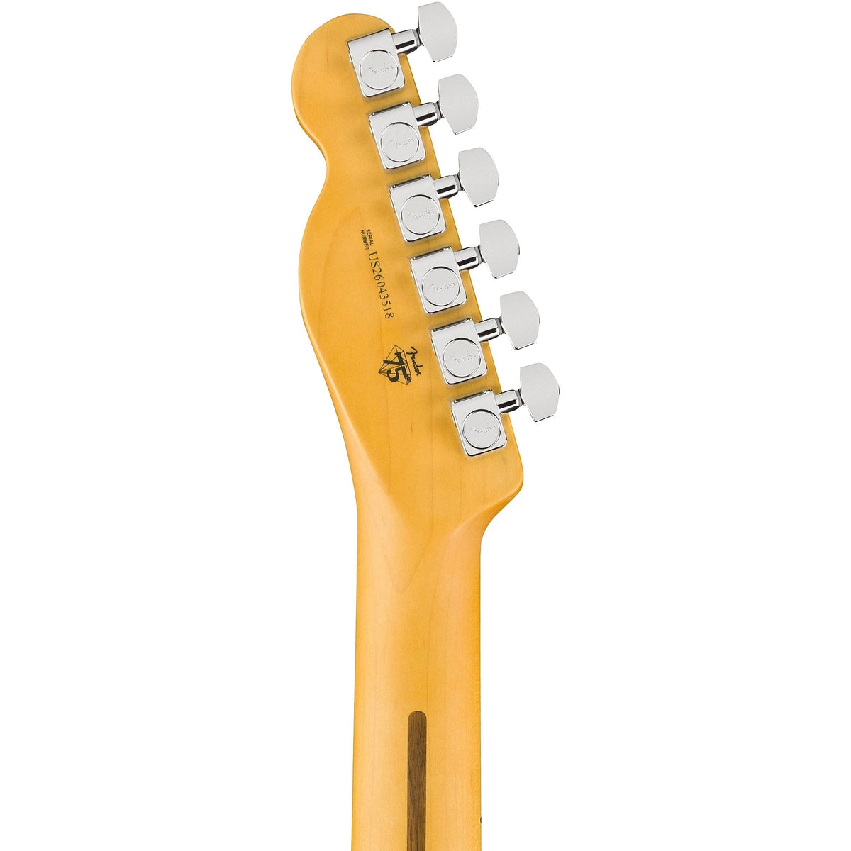 Đàn Guitar Điện Fender American Professional HotShot Telecaster - Maple Fingerboard
