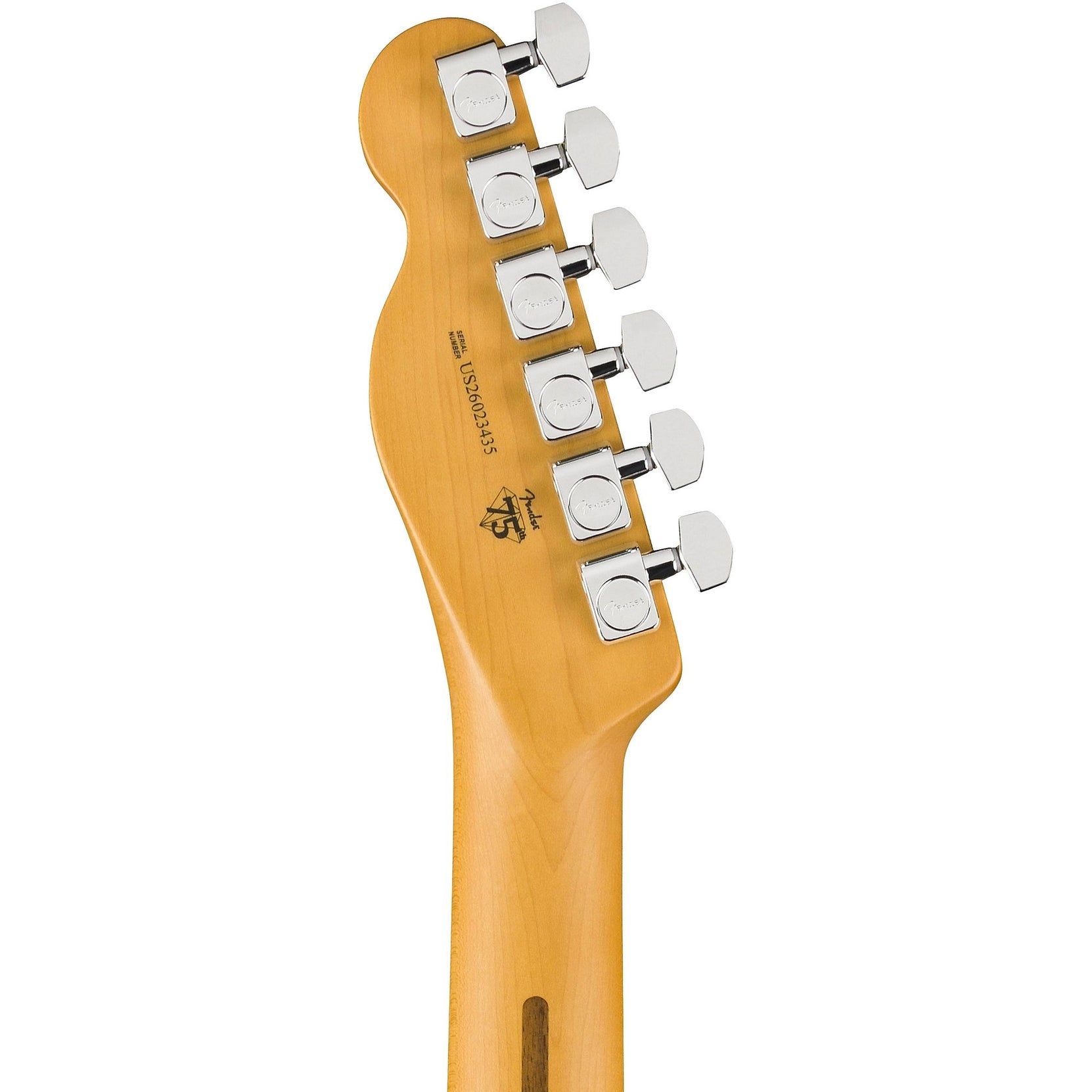 Đàn Guitar Điện Fender American Professional HotShot Telecaster - Rosewood Fingerboard