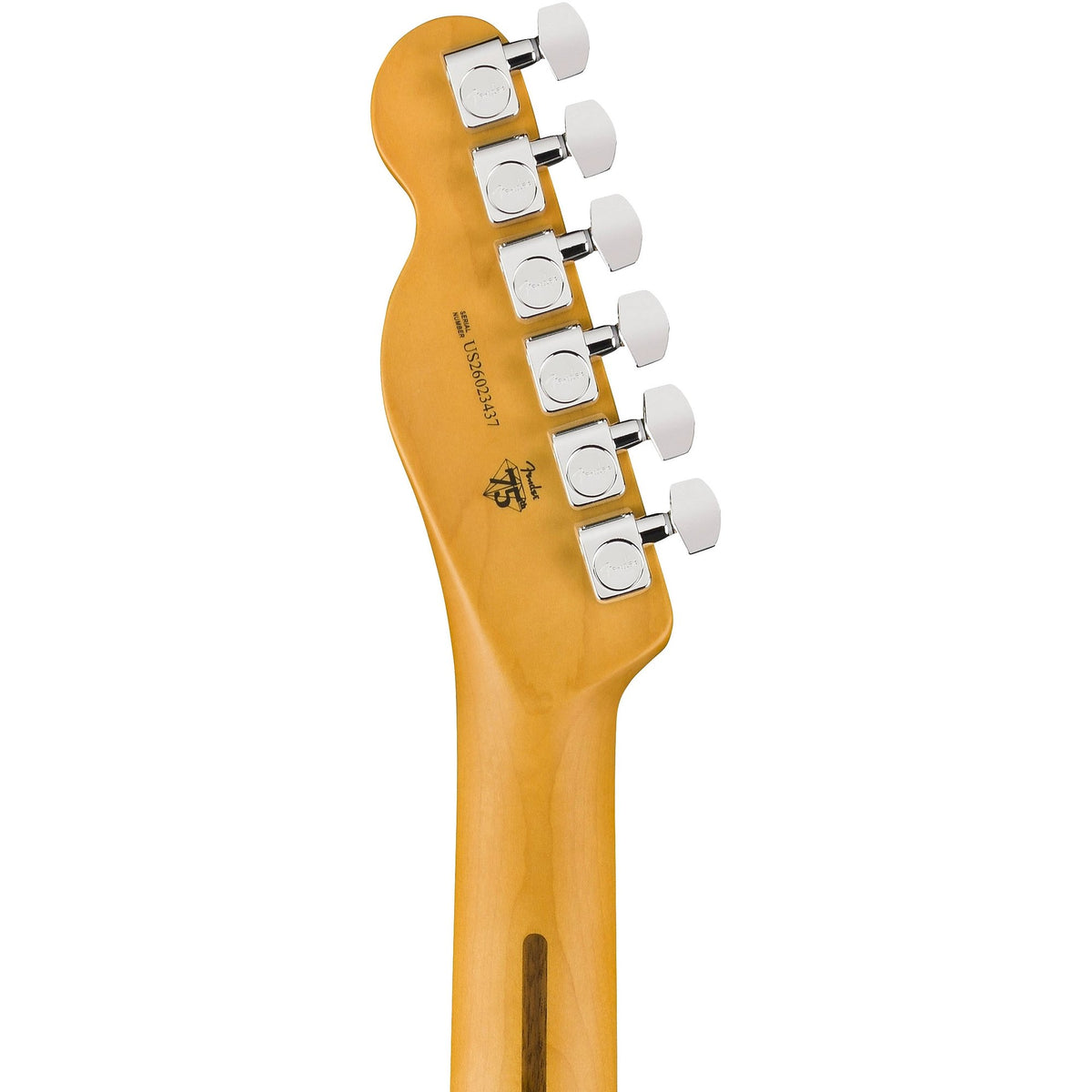 Đàn Guitar Điện Fender American Professional HotShot Telecaster - Rosewood Fingerboard