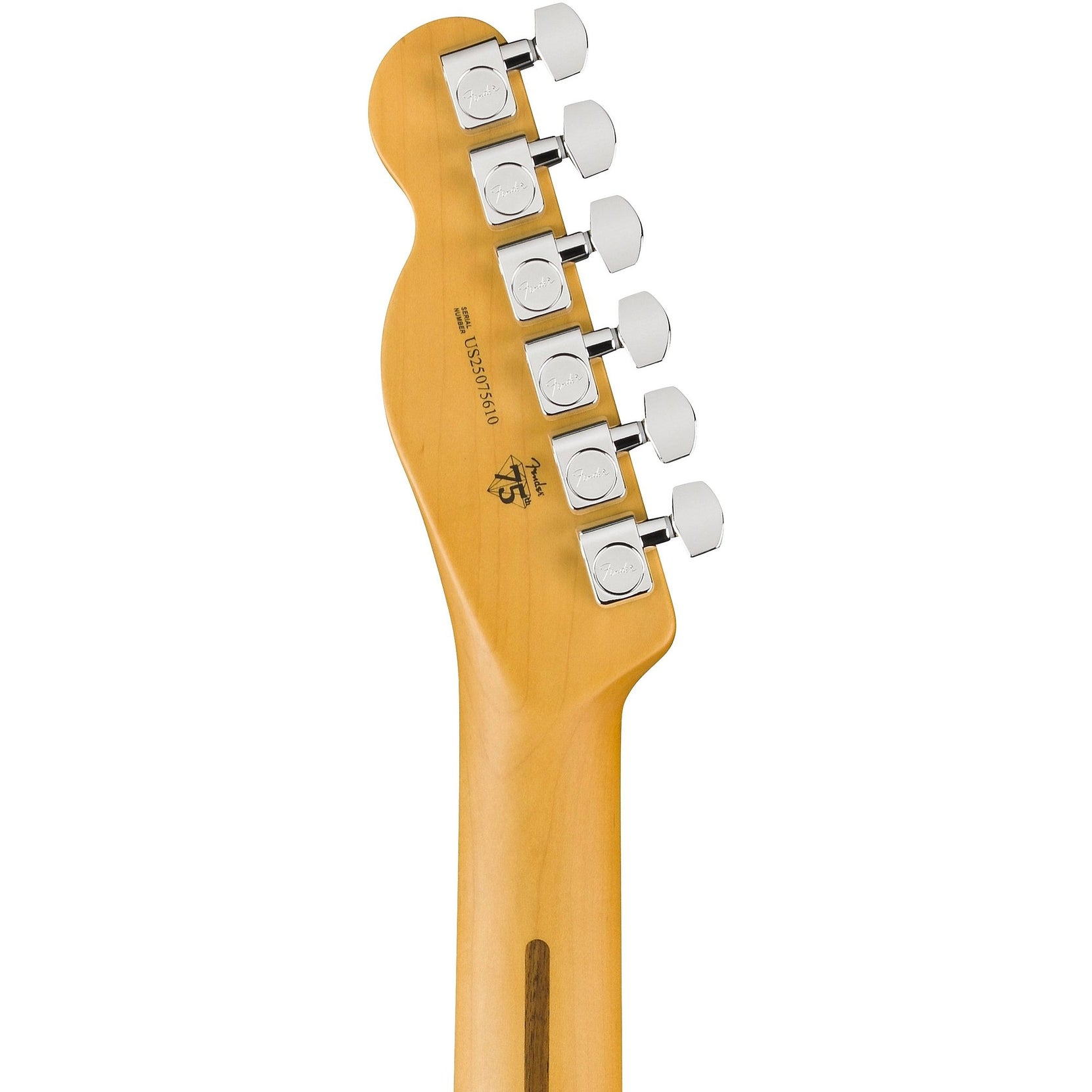 Đàn Guitar Điện Fender American Professional Telecaster - Rosewood Fingerboard-Mai Nguyên Music