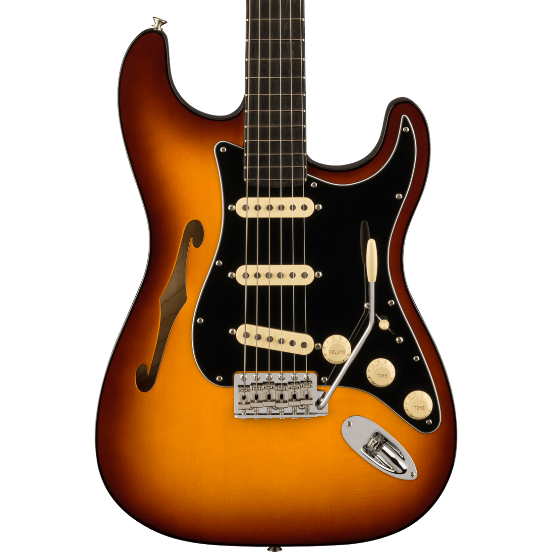 Đàn Guitar Điện Fender Limited Edition Suona Stratocaster Thinline-Mai Nguyên Music