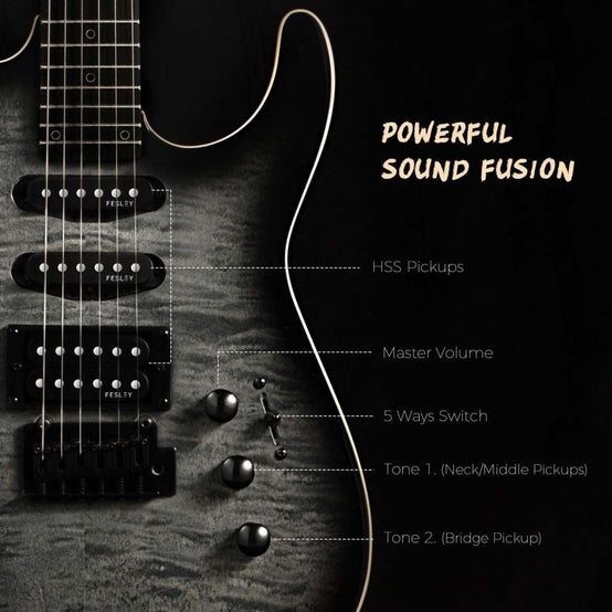 Đàn Guitar Điện Fesley FDK800-Mai Nguyên Music