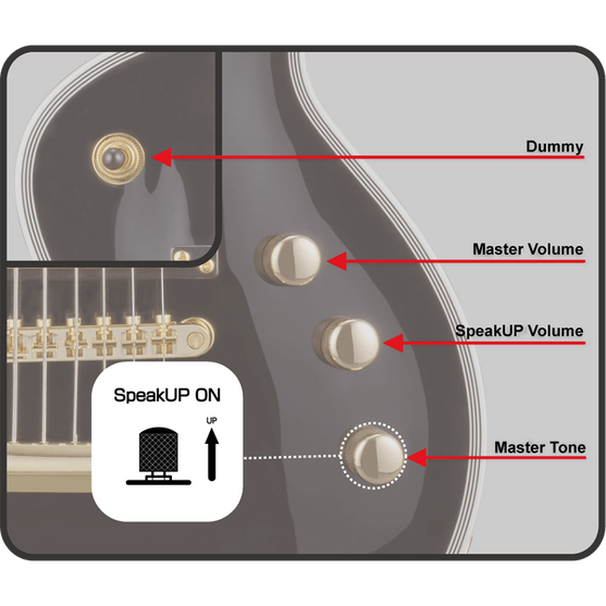 Đàn Guitar Điện GrassRoots G-EC-CTM Mini-Mai Nguyên Music