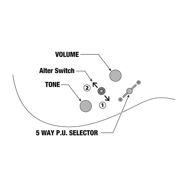 Đàn Guitar Điện Ibanez Axe Design Lab SML721, Rose Gold Chameleon-Mai Nguyên Music