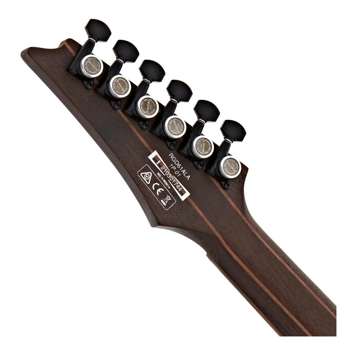 Đàn Guitar Điện Ibanez Axion Label RGD61ALA - Midnight Tropical Rainforest-Mai Nguyên Music