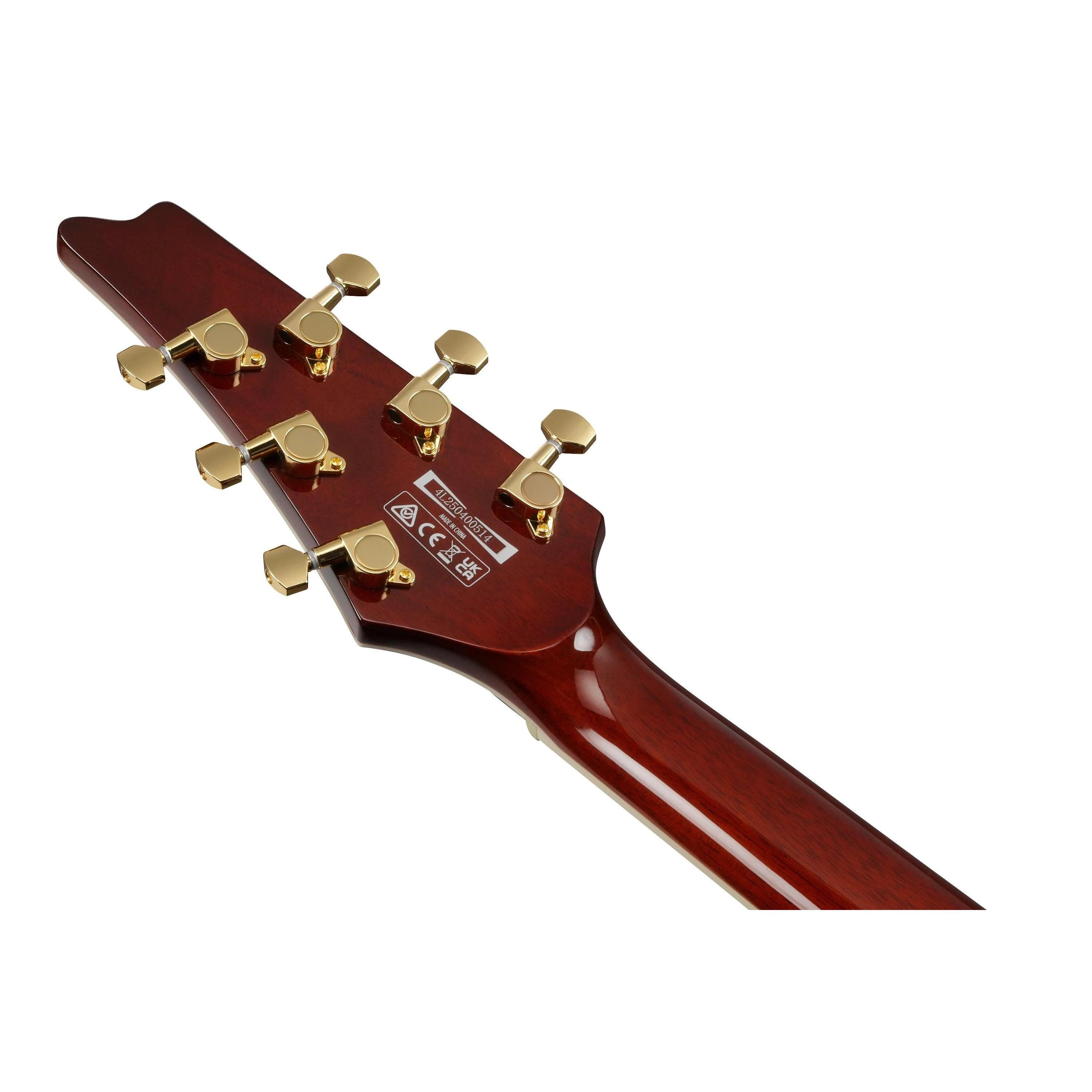 Đàn Guitar Điện Ibanez IC420 Iceman Standard-Mai Nguyên Music