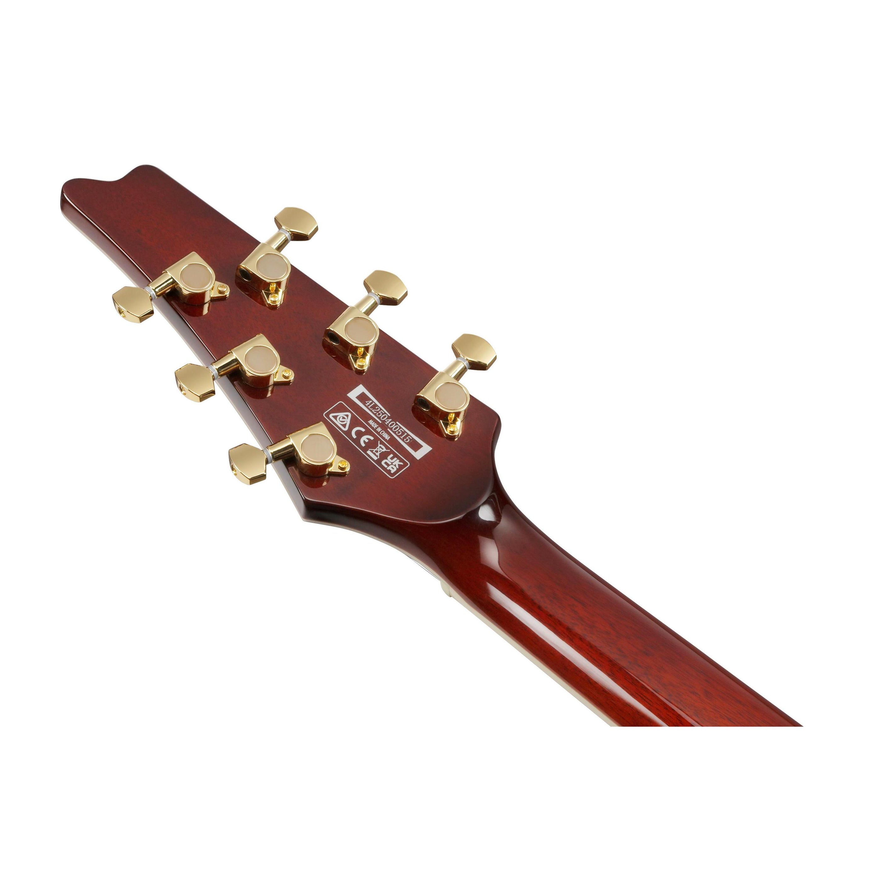 Đàn Guitar Điện Ibanez Iceman IC420FM-Mai Nguyên Music