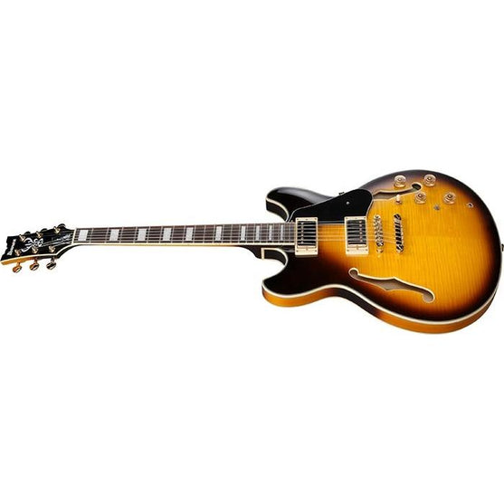 Đàn Guitar Điện Ibanez JSM10EM John Scofield Signature HH, Ebony Fingerboard, Two-Tone Burst-Mai Nguyên Music