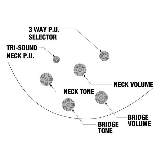 Đàn Guitar Điện Ibanez JSM10EM John Scofield Signature HH, Ebony Fingerboard, Two-Tone Burst-Mai Nguyên Music
