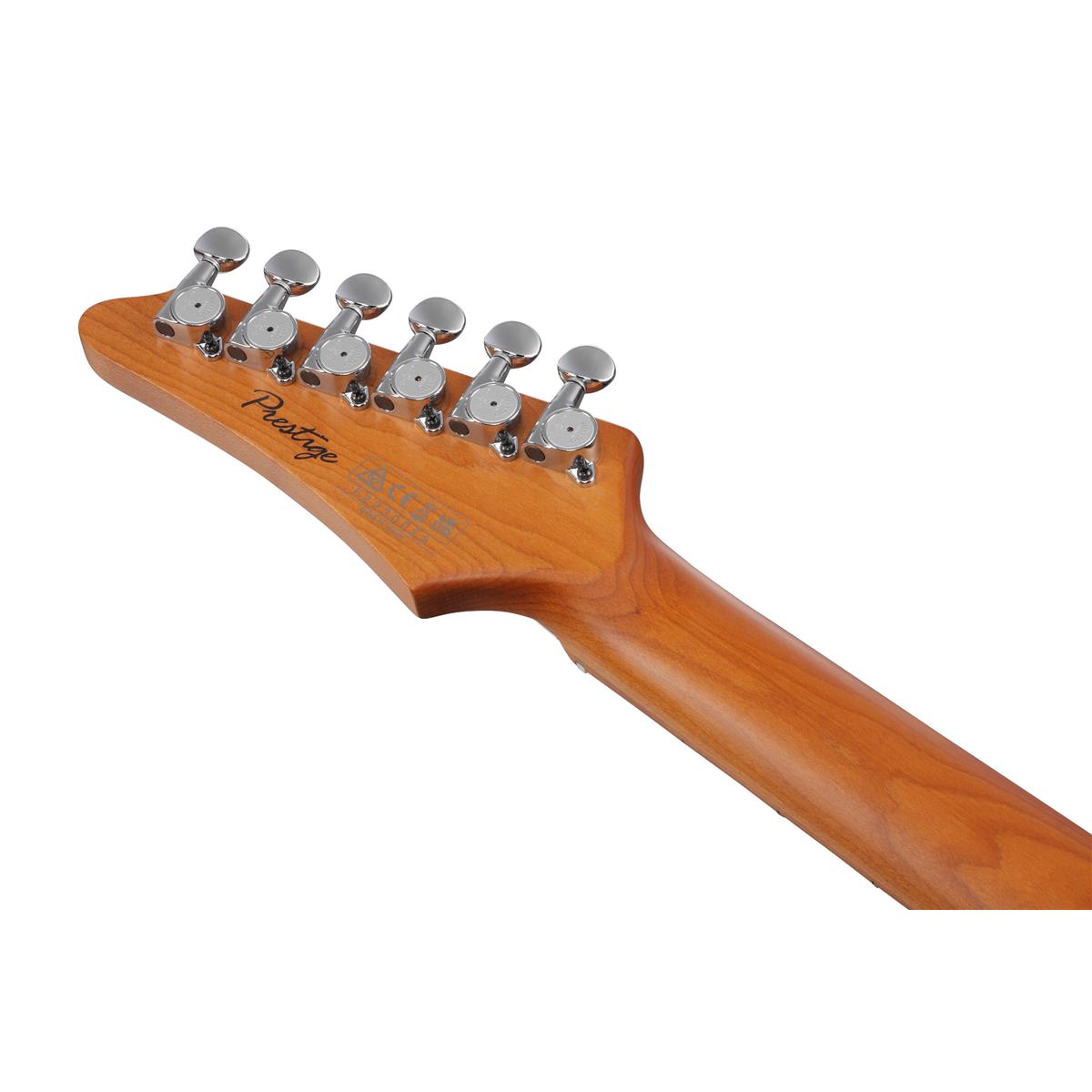 Đàn Guitar Điện Ibanez Prestige AZS2209B w/Case-Mai Nguyên Music