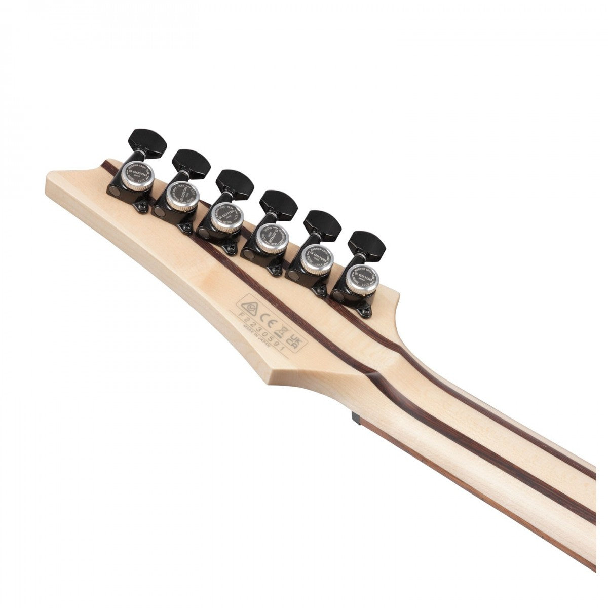 Đàn Guitar Điện Ibanez Prestige RGD3121 w/Case, Polar Lights Flat-Mai Nguyên Music