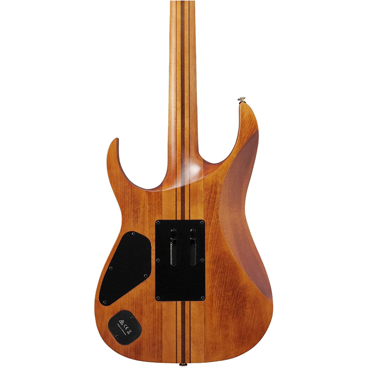 Đàn Guitar Điện Ibanez RG Premium RGT1220PB w/Bag, Antique Brown Stained-Mai Nguyên Music