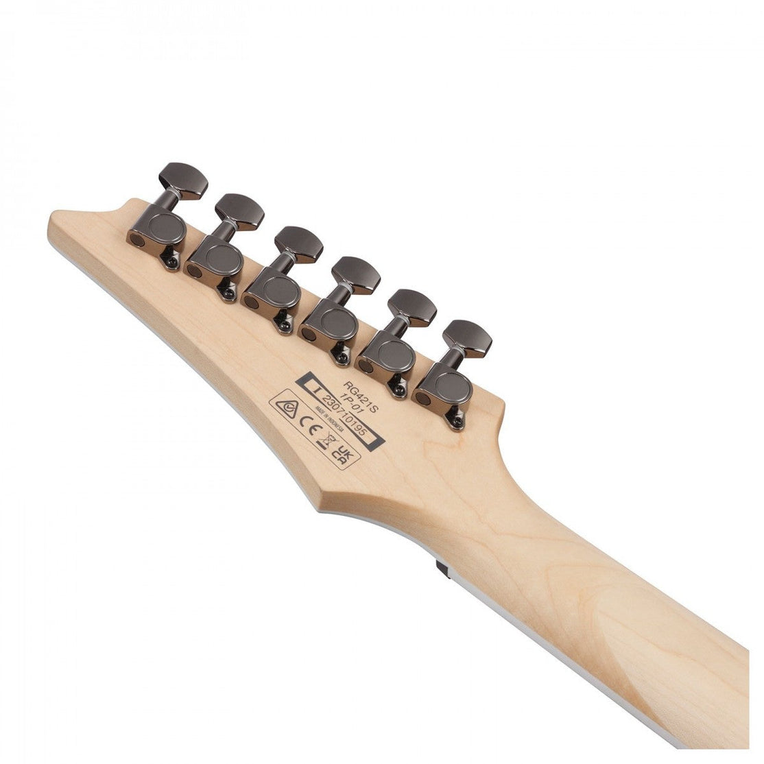 Đàn Guitar Điện Ibanez RG421S RG Standard, Sea Shore Matte-Mai Nguyên Music