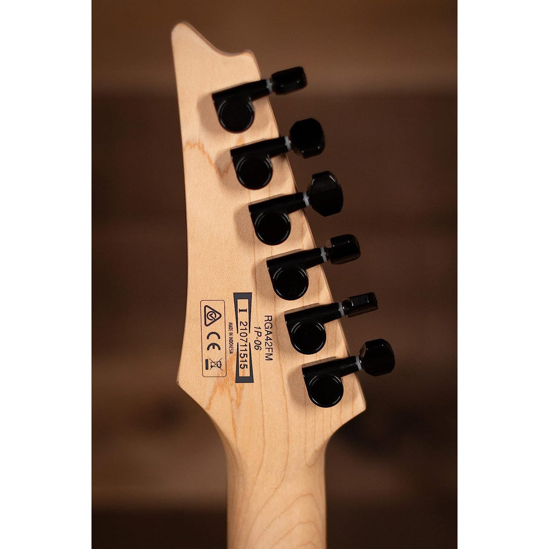 Đàn Guitar Điện Ibanez Standard RGA42FM - Dragon Eye Burst Flat-Mai Nguyên Music