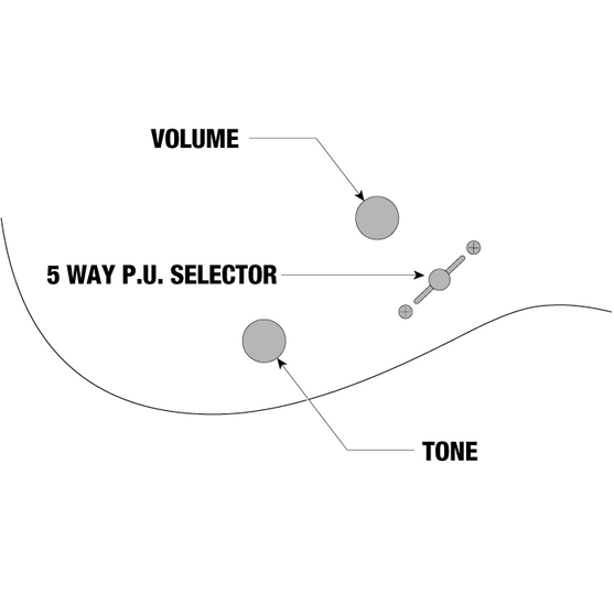 Đàn Guitar Điện Ibanez Standard SEW761CW, Natural Flat-Mai Nguyên Music