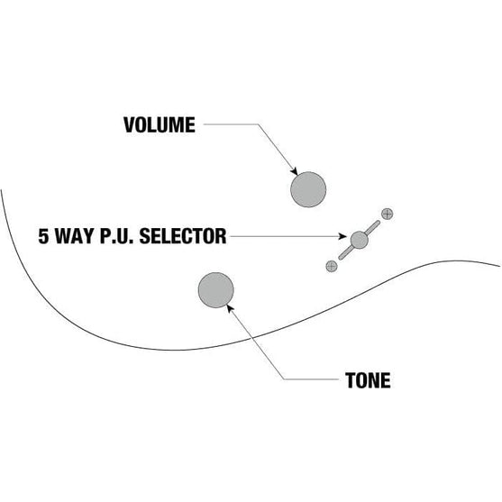 Đàn Guitar Điện Ibanez Standard SEW761FM, Natural Flat-Mai Nguyên Music