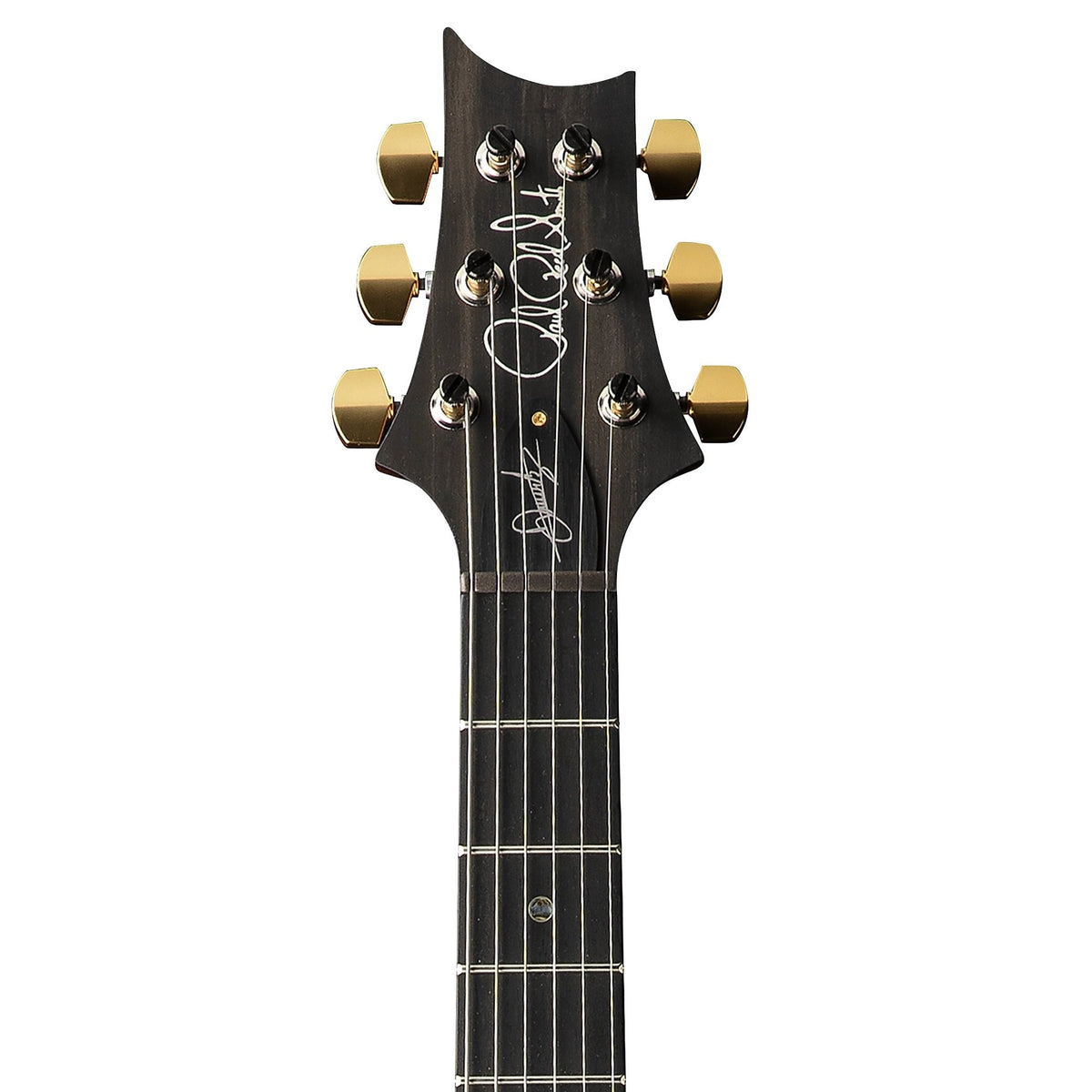 Đàn Guitar Điện PRS Astryx Limited Edition Dany Villarreal Signature - Ocaso-Mai Nguyên Music