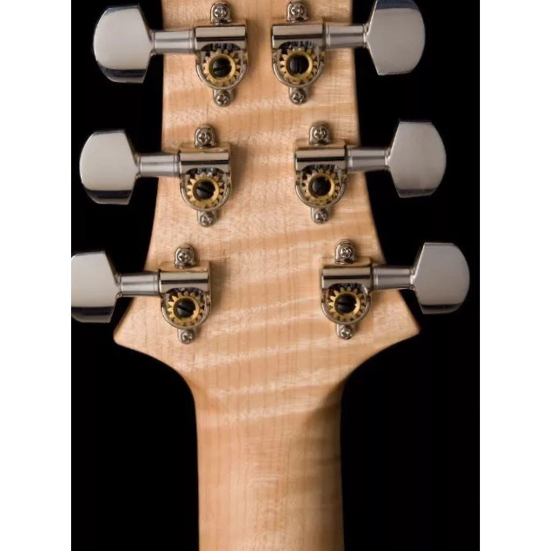 Đàn Guitar Điện PRS Custom 24 "Floyd" - 2024-Mai Nguyên Music