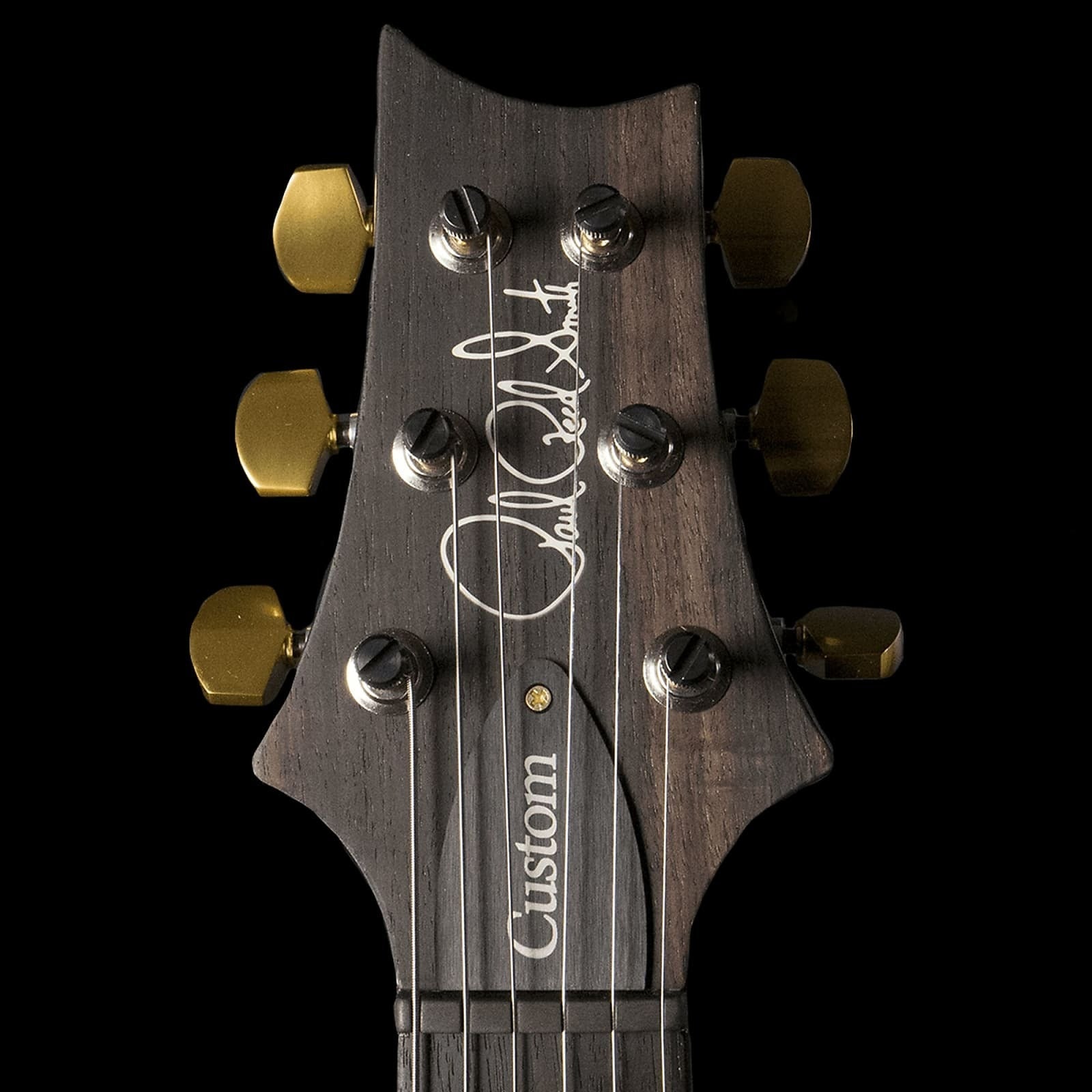 Đàn Guitar Điện PRS Custom 24 Piezo 10-Top - 2024-Mai Nguyên Music