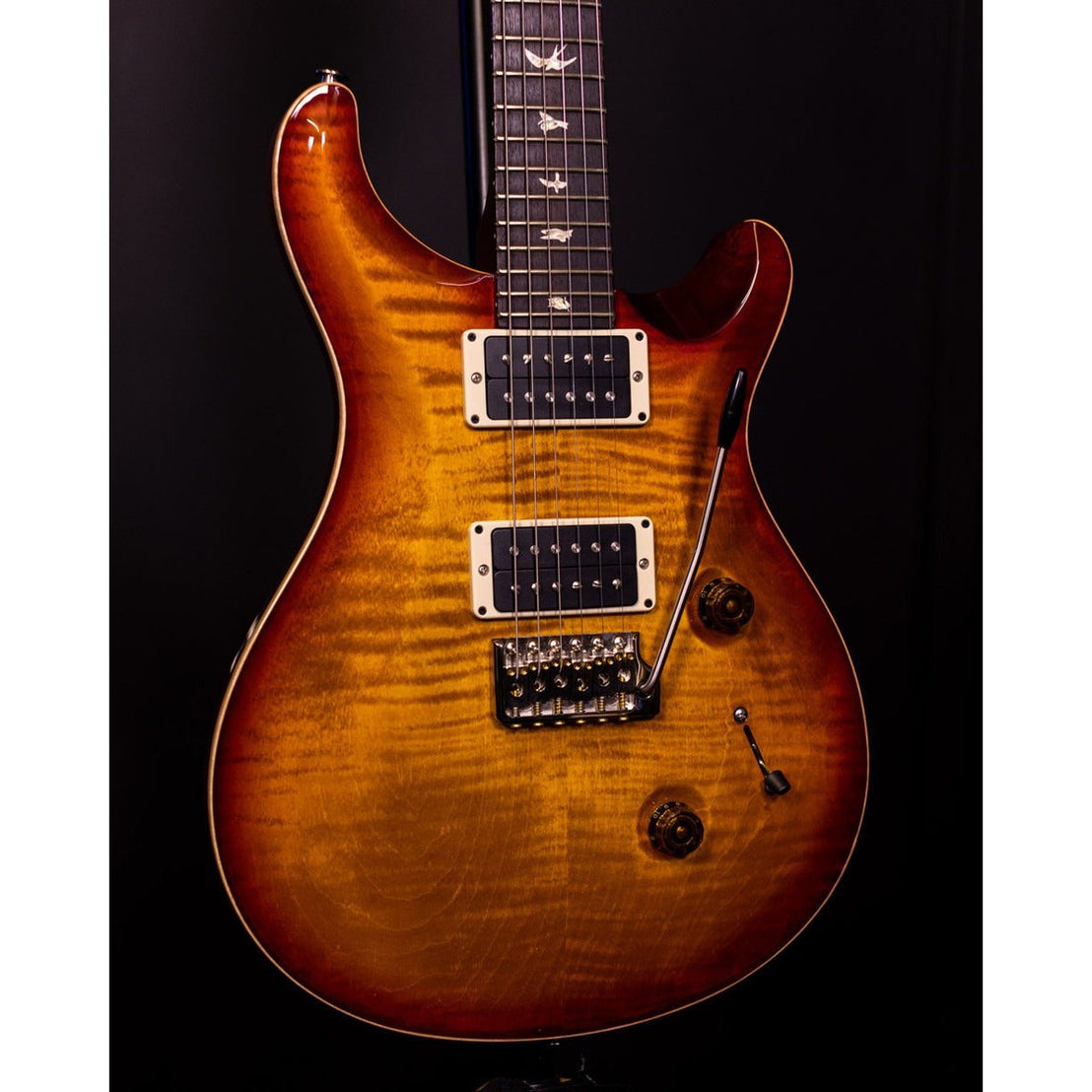 Đàn Guitar Điện PRS Custom 24, Rosewood Fingerboard-Mai Nguyên Music