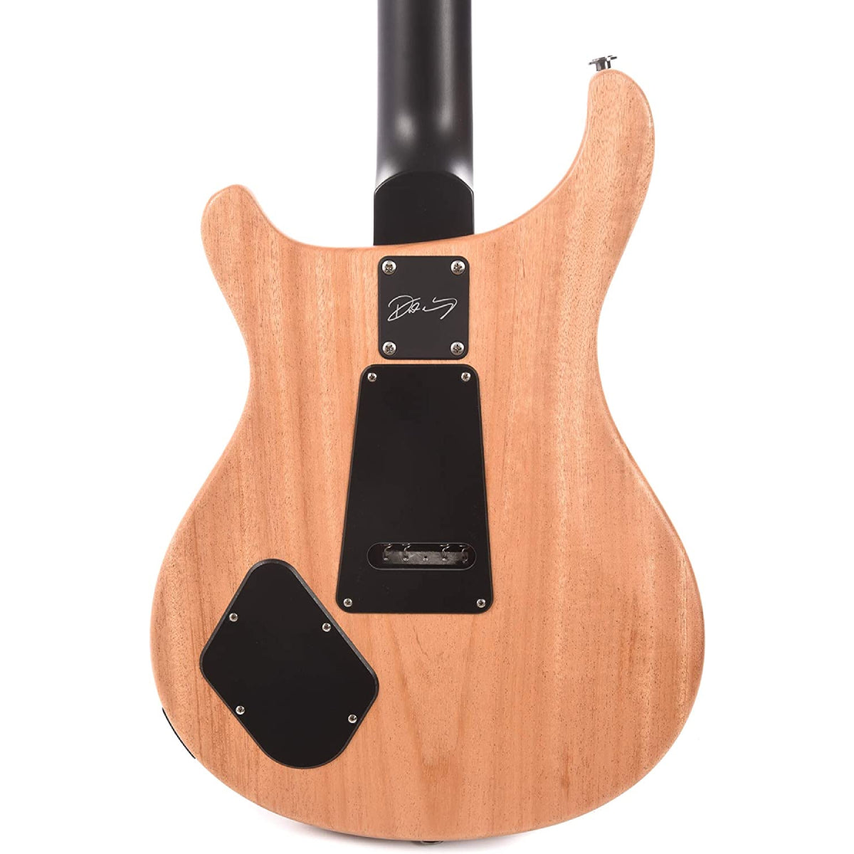 Đàn Guitar Điện PRS Dustie Warning CE 24 Floyd w/Bag, Black Top-Mai Nguyên Music