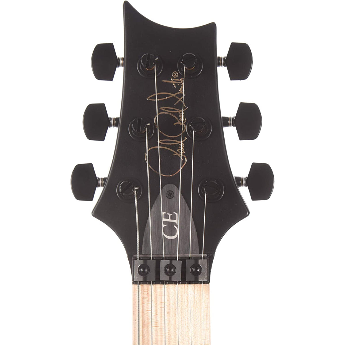 Đàn Guitar Điện PRS Dustie Warning CE 24 Floyd w/Bag, Black Top-Mai Nguyên Music